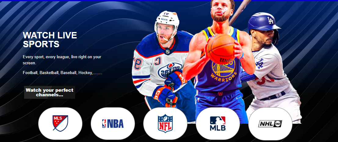 Latest Movie Collection